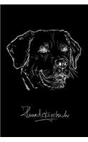 Hundetagebuch: das Erinnerungsbuch für die schönsten Momente von Dir und deinem treuen Vierbeiner, dem besten Freund des Menschen. Dein geliebtes Haustier und du u