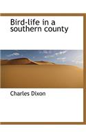 Bird-Life in a Southern County