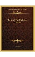 The Great Tree On Boston Common