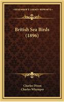 British Sea Birds (1896)