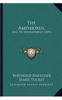 Amphioxus