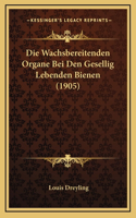 Die Wachsbereitenden Organe Bei Den Gesellig Lebenden Bienen (1905)