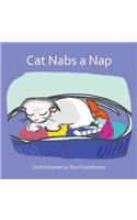 Cat Nabs a Nap