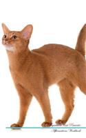 Abyssinian Cat Affirmations Workbook Abyssinian Cat Presents: Positive and Loving Affirmations Workbook. Includes: Mentoring Questions, Guidance, Supporting You.