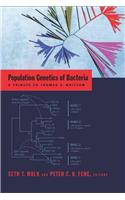 Population Genetics of Bacteria