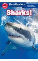 Ripley Readers Level1 Lib Edn Sharks!