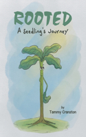 Rooted: A Seedling's Journey