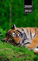 Tiger Week Planner Weekly Organizer Calendar 2020 / 2021 - Short Nap