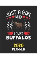 Just A Girl Who Loves Buffalos 2020 Planner: Weekly Monthly 2020 Planner For Girl Women Who Loves Buffalos 8.5x11 67 Pages