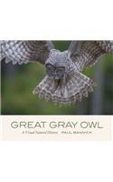 Great Gray Owl