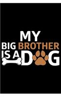 My Big Brother Is A Dog