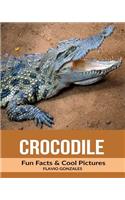 Crocodile: Fun Facts & Cool Pictures