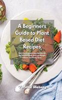 A Beginners Guide to Plant Based Diet Recipes