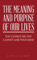 Meaning and Purpose of Our Lives