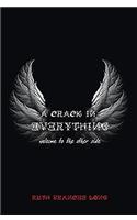 A Crack in Everything