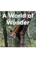World of Wonder