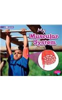 My Muscular System a 4D Book (My Body Systems)