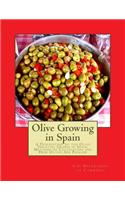 Olive Growing in Spain