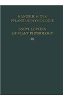 Pflanze und Wasser / Water Relations of Plants