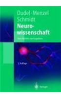 Neurowissenschaft: Vom Molekul Zur Kognition