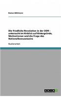 Die friedliche Revolution in der DDR - untersucht im Hinblick auf Hintergründe, Motivationen und die Frage des Nationalbewusstseins