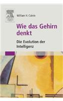 Wie Das Gehirn Denkt: Die Evolution Der Intelligenz