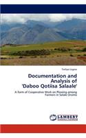 Documentation and Analysis of 'Daboo Qotiisa Salaale'