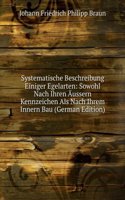 Systematische Beschreibung Einiger Egelarten: Sowohl Nach Ihren Aussern Kennzeichen Als Nach Ihrem Innern Bau (German Edition)