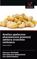 Analiza spoleczno-ekonomiczna promocji sektora orzechów nerkowca