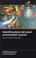Identificazione dei pesci ornamentali comuni