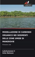 Modellazione Di Carbonio Organico Nei Sedimenti Delle Zone Umide Di Mangrovie