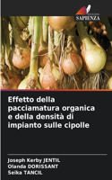 Effetto della pacciamatura organica e della densità di impianto sulle cipolle