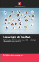 Sociologia da Gestão