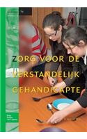 Zorg Voor de Verstandelijk Gehandicapte