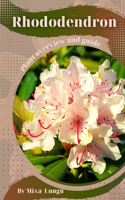 Rhododendron: Plant overview and guide