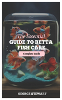 Essential Guide to Betta Fish Care