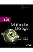 Molecular Biology
