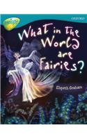 Oxford Reading Tree: Level 9: TreeTops Non-Fiction: What in the World are Fairies?