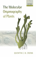 The Molecular Organography of Plants