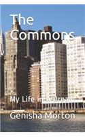The Commons