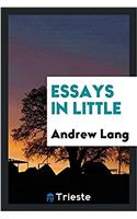 Essays in Little
