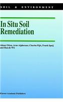 In Situ Soil Remediation