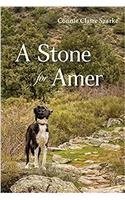 A Stone for Amer
