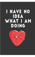 I Have No Idea What I Am Doing