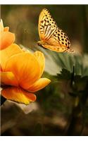 Visiting a Flower