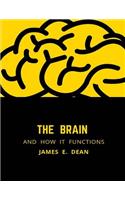 The Brain and how it Functions