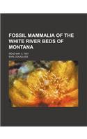 Fossil Mammalia of the White River Beds of Montana; Read May 3, 1901