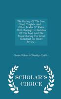 The History of the Iron, Steel, Tinplate and ... Other Trades of Wales