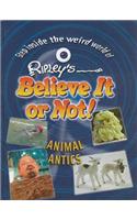 Animal Antics