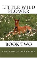 Little Wild Flower